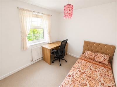 Picture 20